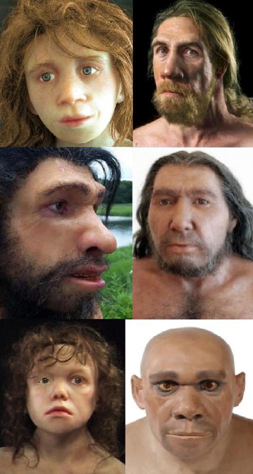 neanderthal-reconstructions.jpg
