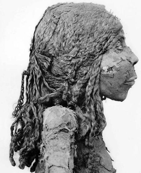Cabello, peinados y pelucas en el antiguo Egipto - Página 2 Nomit