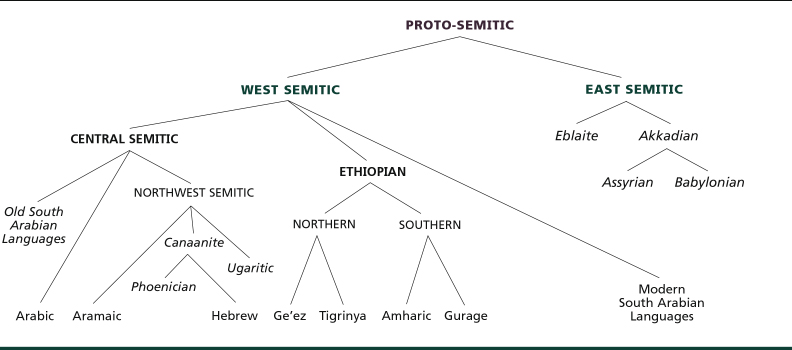 Risultati immagini per semitic languages